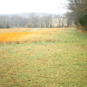 36 Parker Rd Watertown | 36 Parker Rd Watertown5.01 AcresAbsolute Auction