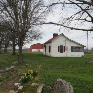 Cedar Bluff Rd Absolute Auction | 54.84 Picturesque Acres selling in 6 Tracts