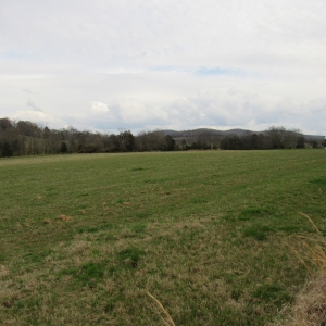 Cedar Bluff Rd Absolute Auction | 54.84 Picturesque Acres selling in 6 Tracts