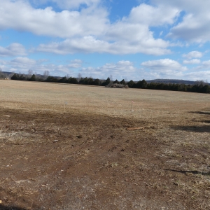 1648 Level Acres | 5 Tracts Ranging from 1.02 Acres  7.20 Acres