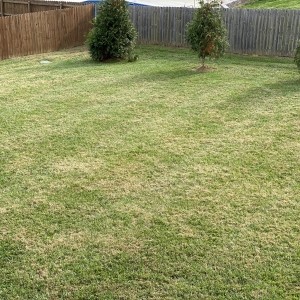 Spacious Fenced Yard