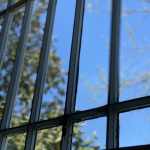 Tons of Natural Light | Large windows fill the living spaces with a tremendous amount of natural light