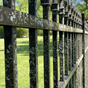Fenced Green Space with Mature Trees | Large fenced yard with mature trees