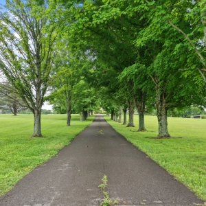 5688 Lebanon Rd  Lebanon TN | 5688 Lebanon Rd  Lebanon TN 5688 Lebanon Rd  Lebanon TN | 5688 Lebanon Rd  Lebanon TN