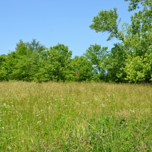 31516 Bluebird Rd | McClanahan Auction31516 Bluebird Rd