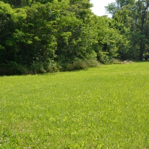 Parcel 4 Anderson Ave | McClanahan AuctionParcel 4 Anderson Ave