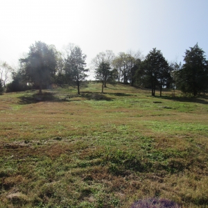 414 Old Alexandria Rd | Lots 1 & 3414 Old Alexandria Rd Watertown