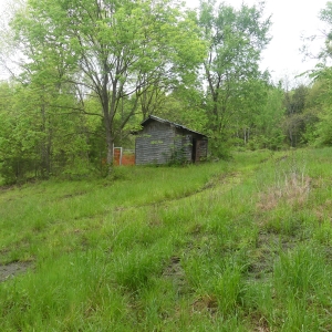 161 Opossum Hollow Rd Absolute Auction | 5+ acres in Watertown TN