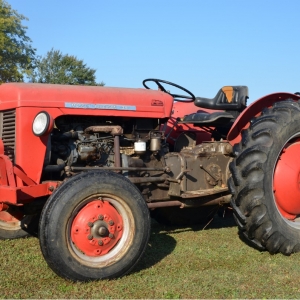 MASSEY FERGUSON 35 | MASSEY FERGUSON 35, DIESEL, RECENT OVERHAUL