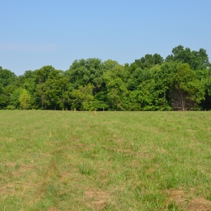 Saundersville Ferry Building Lots | Saundersville Ferry Building Lots