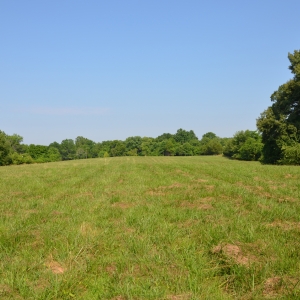 Saundersville Ferry Building Lots | Saundersville Ferry Building Lots
