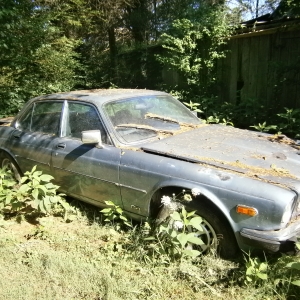 1982 Jaguar Sedan | Does Not Currently Run