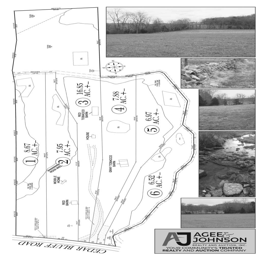 Cedar Bluff Rd Absolute Auction