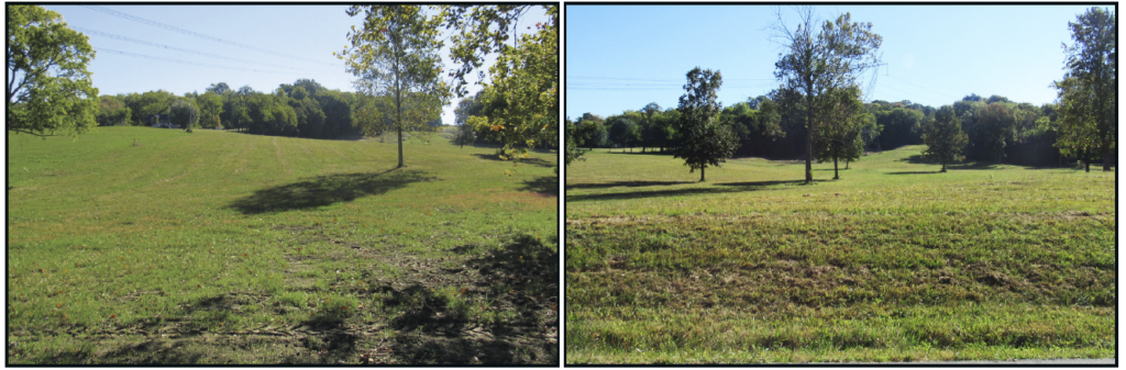 Leeville Rd • Mt Juliet TN