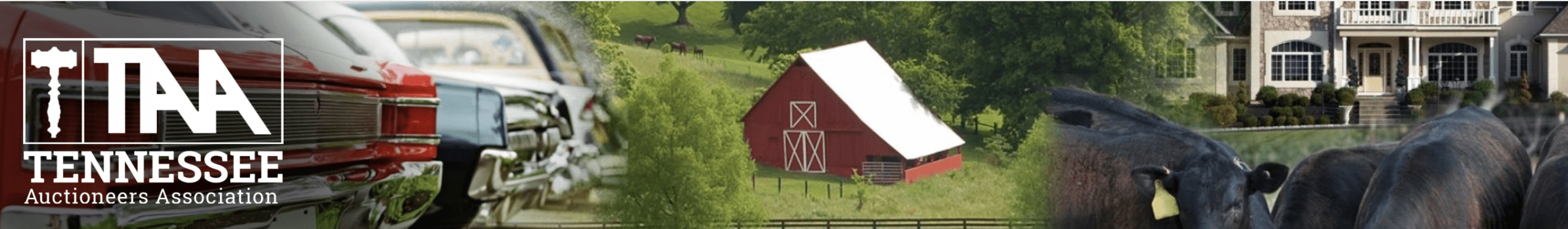 Tennessee Auctioneers Association