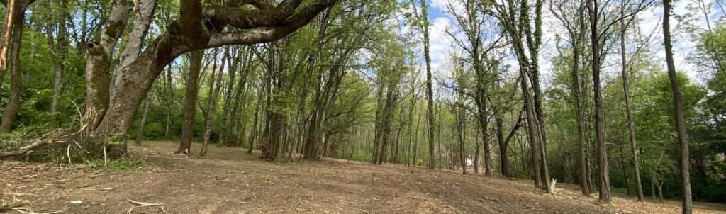 Brookwood Lane • Lebanon TN