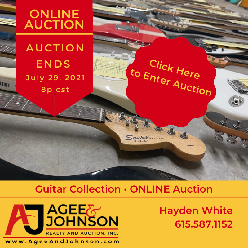 Guitar Collection • Online Auction