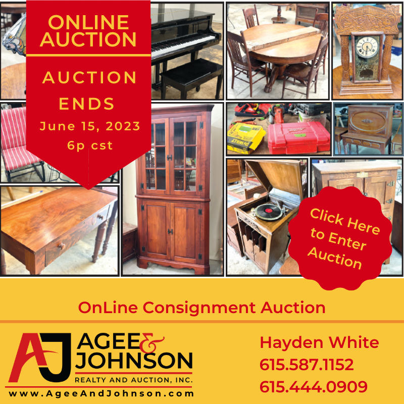 Online Consignment Auction
