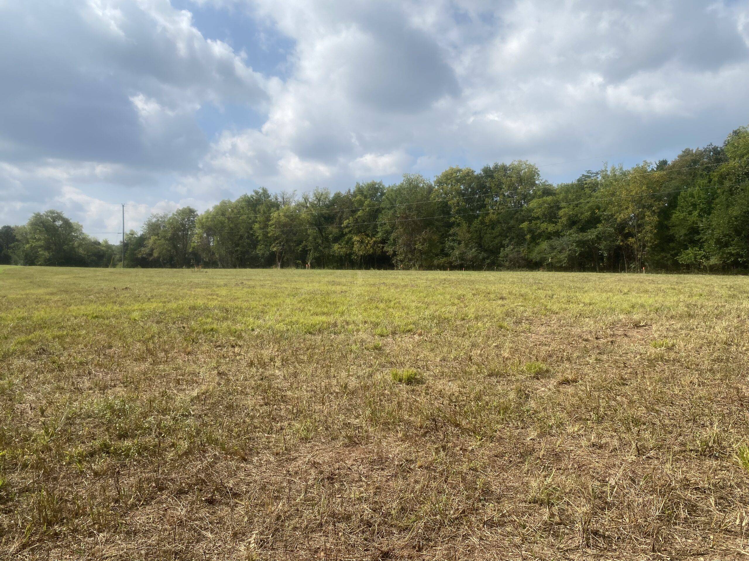 Agee & Johnson, Realty and Auction, Inc.