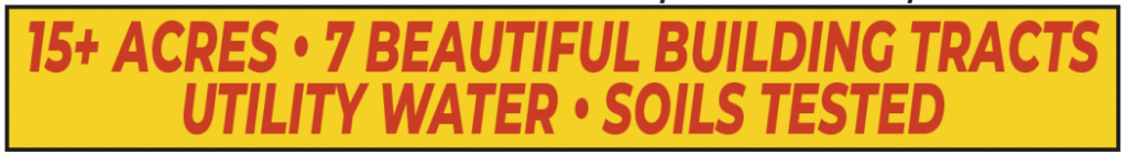 Saundersville Ferry Rd • Mt Juliet TN