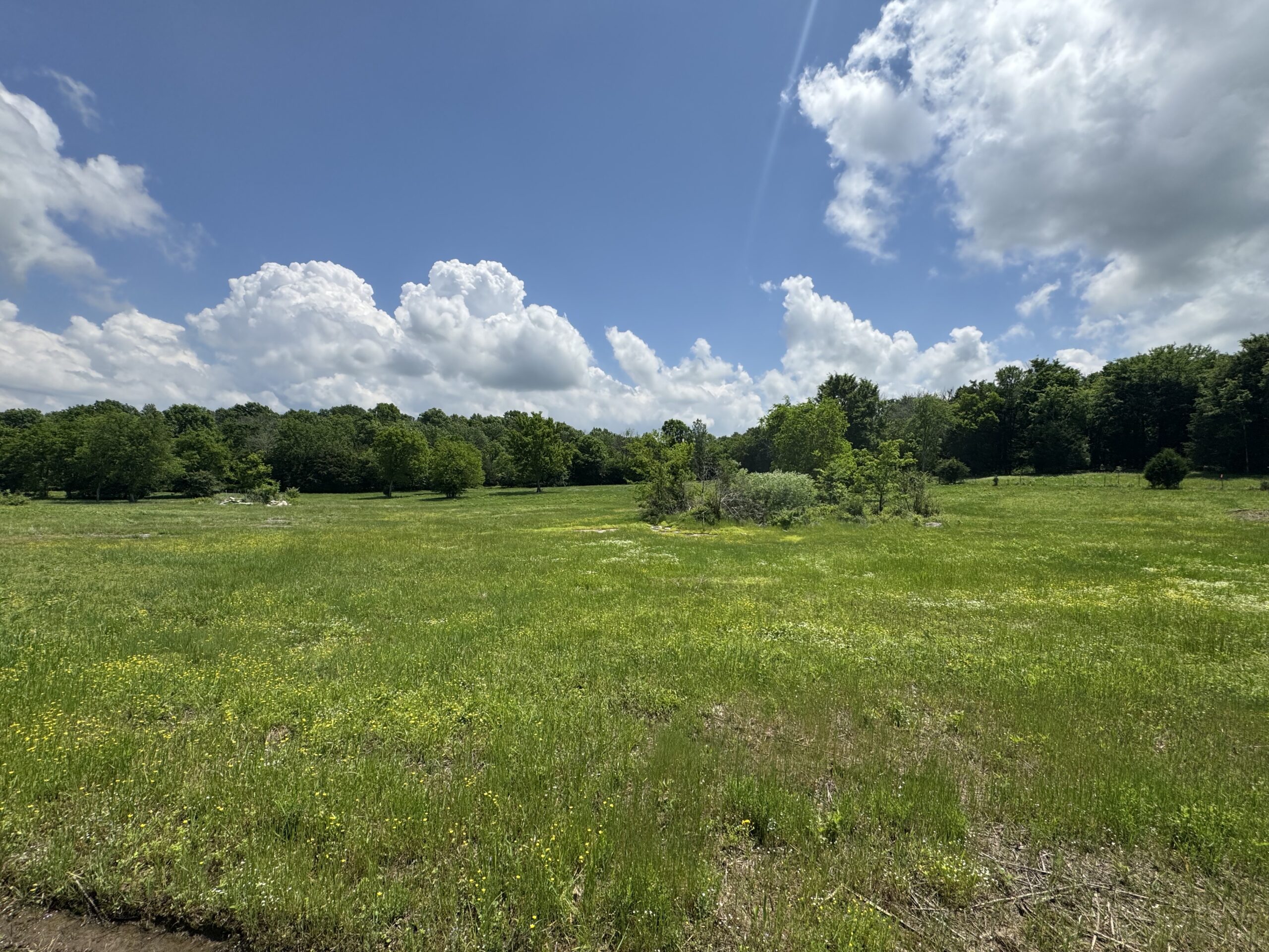 Agee & Johnson, Realty and Auction, Inc.