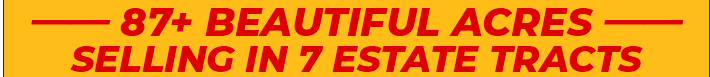 Small Banner